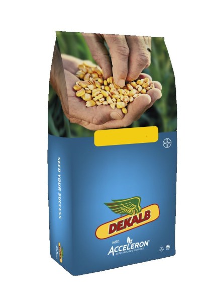 DEKALB JÓ